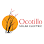 Ocotillo Solar Electric