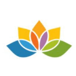 VITAL ENERGY SOLUTIONS
