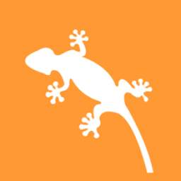 Gecko Solar Energy | Solar Panels