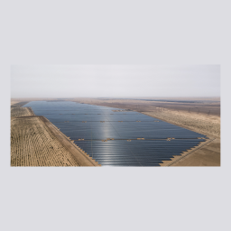 Sterling and Wilson Solar Limited