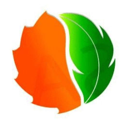 Sunergy Construction Inc