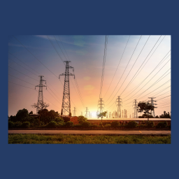 Calico Energy Inc.
