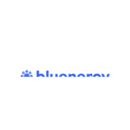 Bluenergy