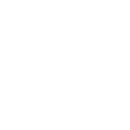 Limitless Energy Pros