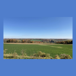 Harvest Hills Solar Project
