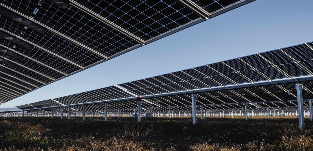 Agrivoltaics: Sustainable Farming With Solar Energy img - 15