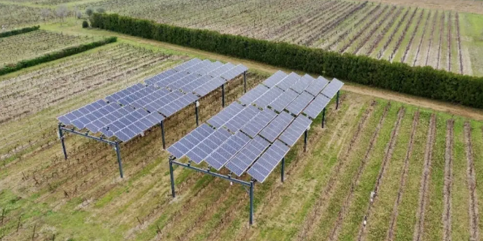 Agrivoltaics: Sustainable Farming With Solar Energy img - 10