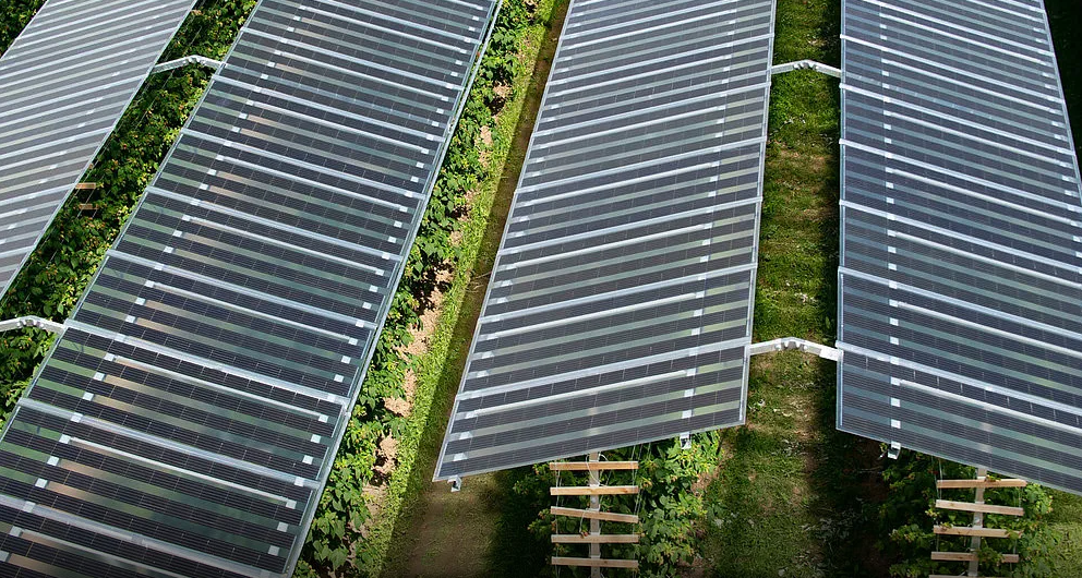 Agrivoltaics: Sustainable Farming With Solar Energy img - 5