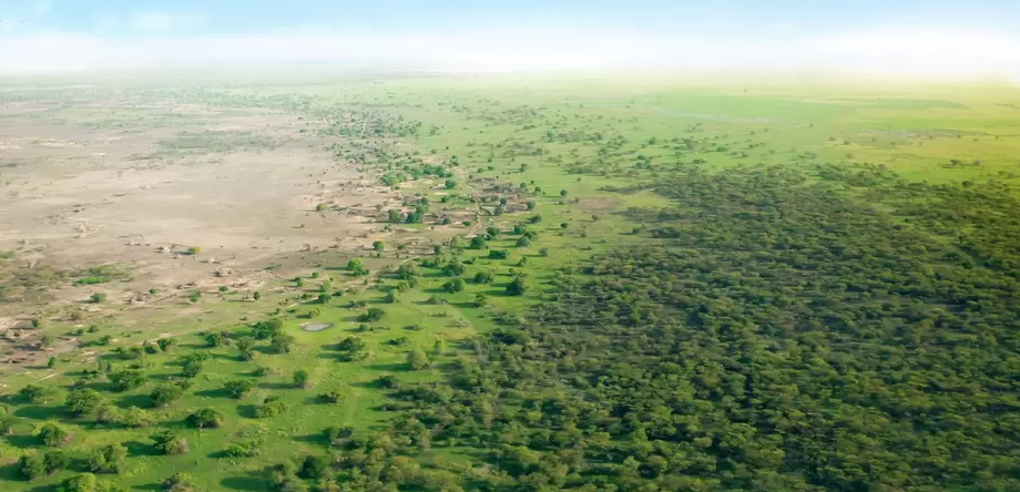 The great green wall in Africa