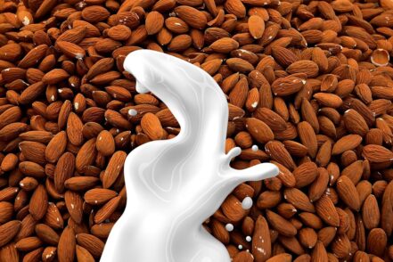 Almond Milk's Environmental Impact: Unpacking the Debate img - 4