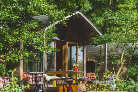 Green Living 101: A Must Read Guide to an Eco-Friendly Lifestyle img - 4