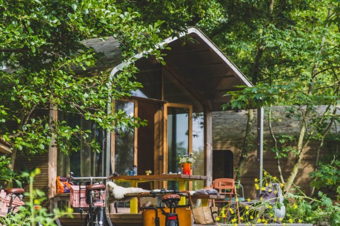 Green Living 101: A Must Read Guide to an Eco-Friendly Lifestyle img - 1