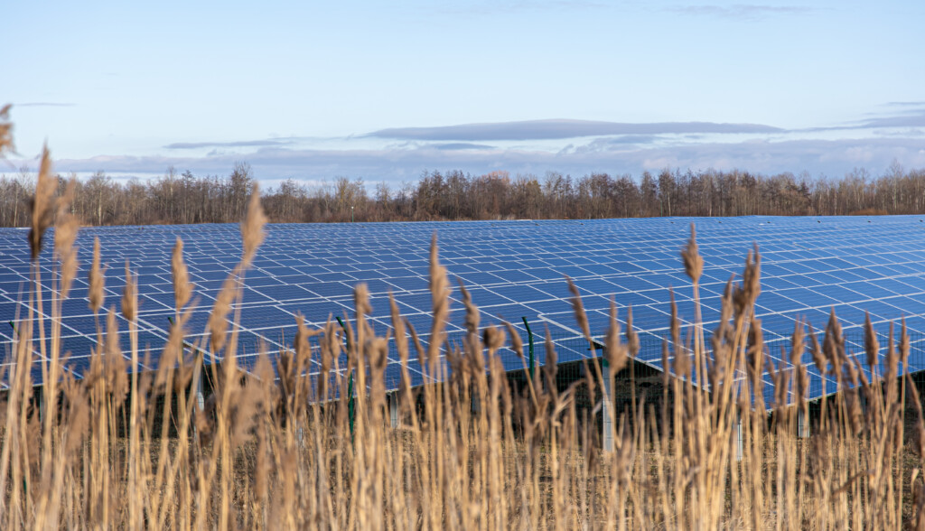 Agrivoltaics: Sustainable Farming With Solar Energy img - 9