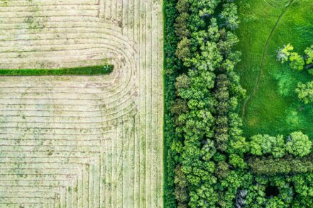 green belt