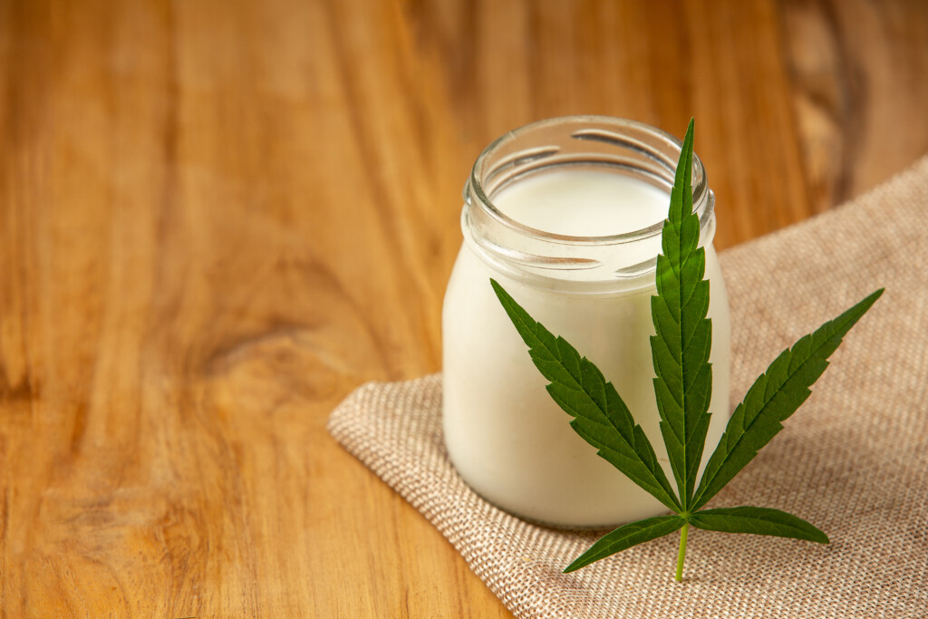 Milk and hemp The concept of cannabis use in the food industry