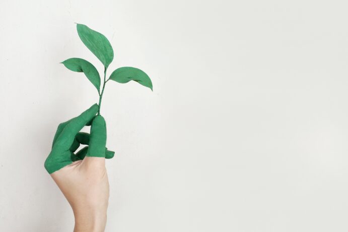 Top 15 Eco-Friendly Home Appliances for a Green Lifestyle in 2023 img - 1
