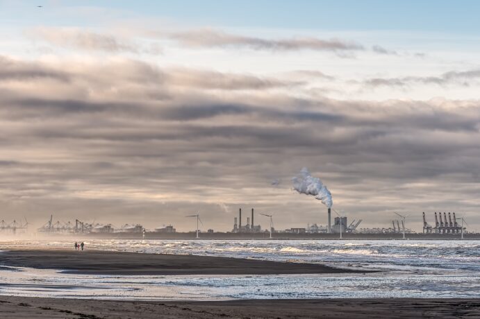 fossil fuels and renewable energy