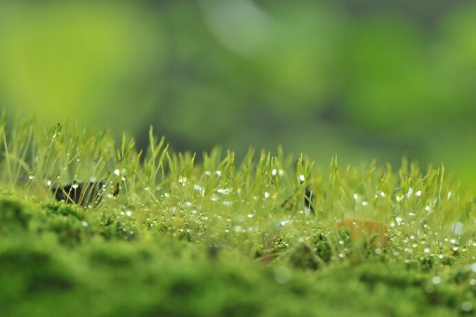 Discover the Latest Green Tech Wonders: Be in the Know img - 1
