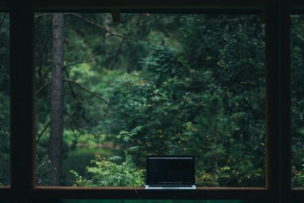 green computing in forest