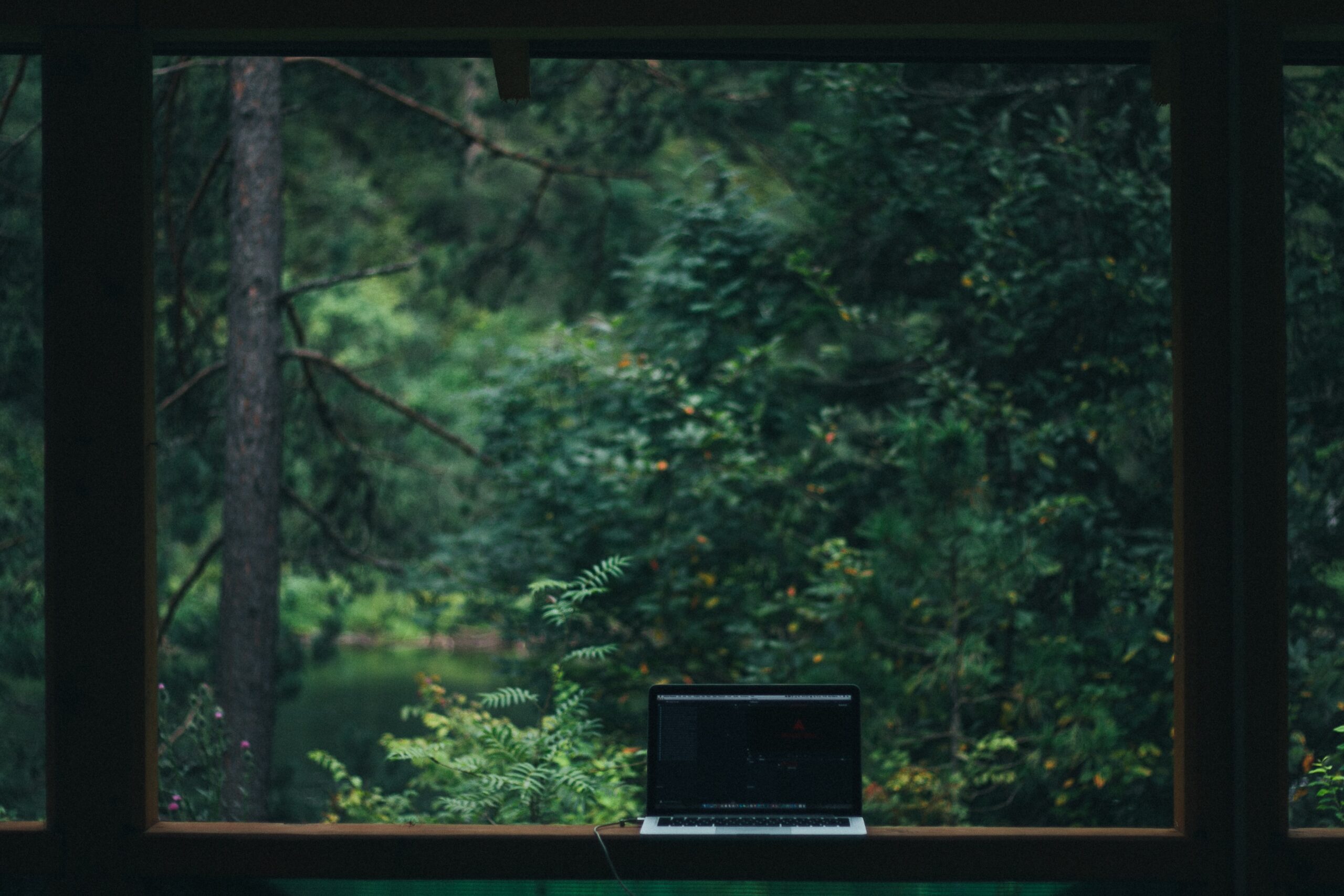 green computing in forest