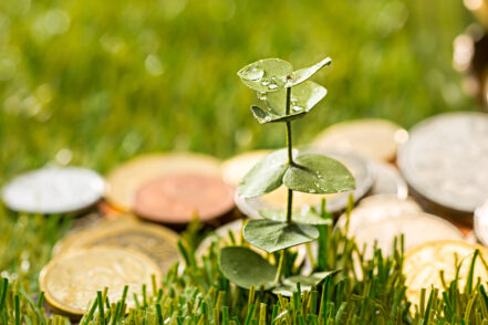 Plant growing in coins glass jar for money against green grass. Saving and investment financial concept