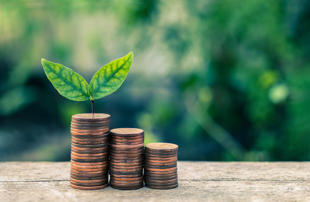 Seedling Plant are Growing on Money Coin Tower with Blurred Bokeh Background - Business and Finance Concept
economic sustainability
