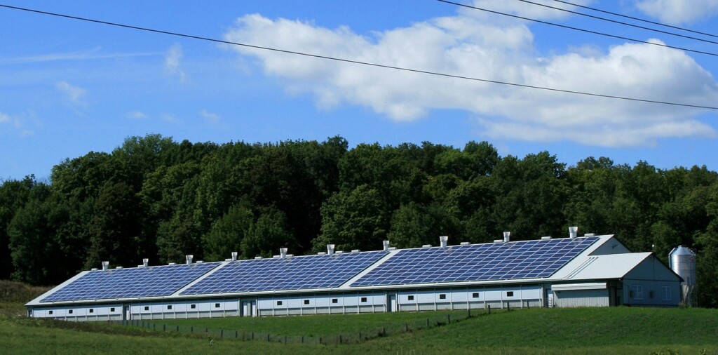 Solar Array 101: What Every Homeowner Should Know img - 3