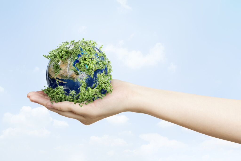 Carbon Neutral vs Net Zero : Understanding the Difference and How to Achieve Them img - 3