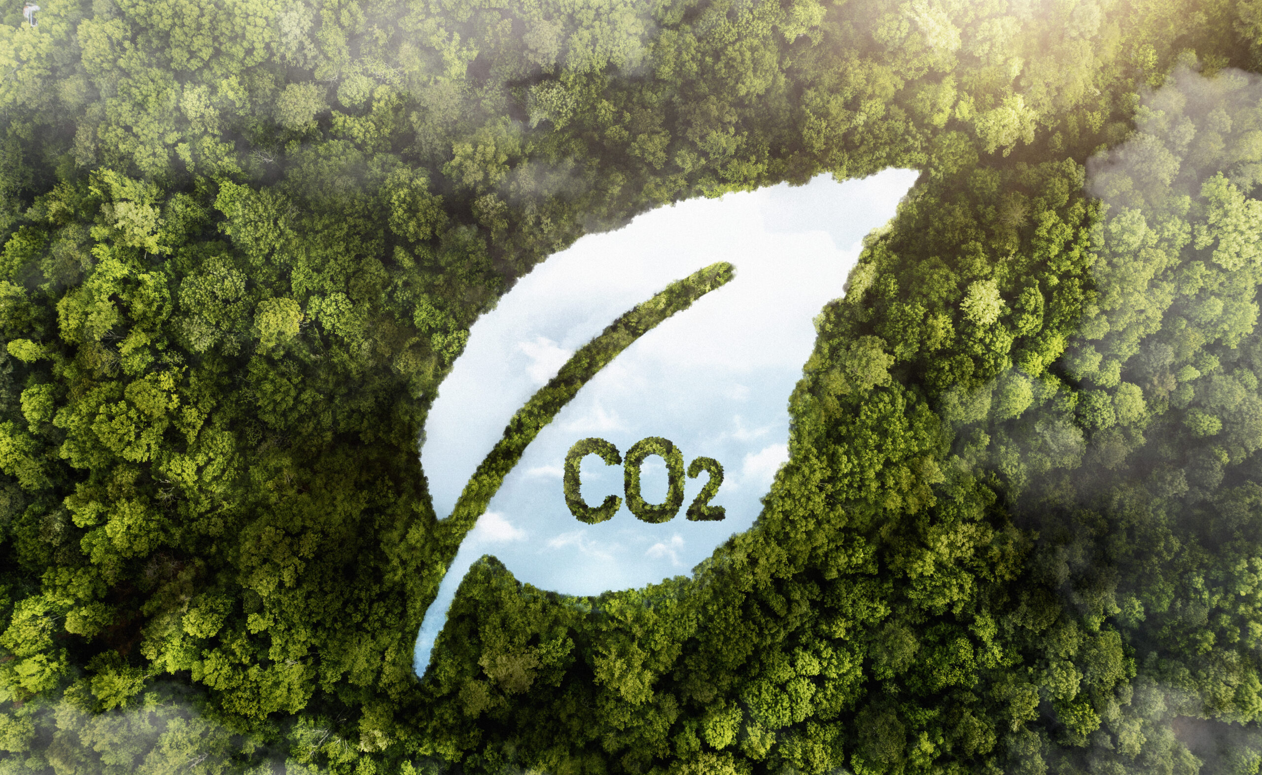 co2 deficit