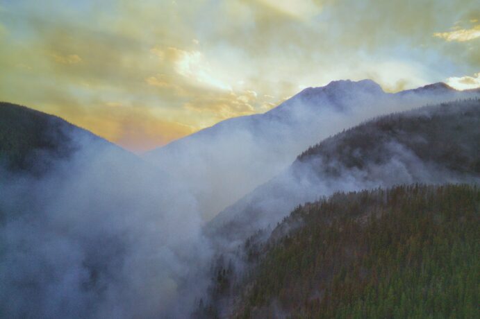 The Rise of Carbon Removal: A Solution to Climate Change? img - 1