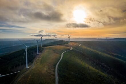 By the Numbers: The Rise of Green Energy in the Last Decade img - 2