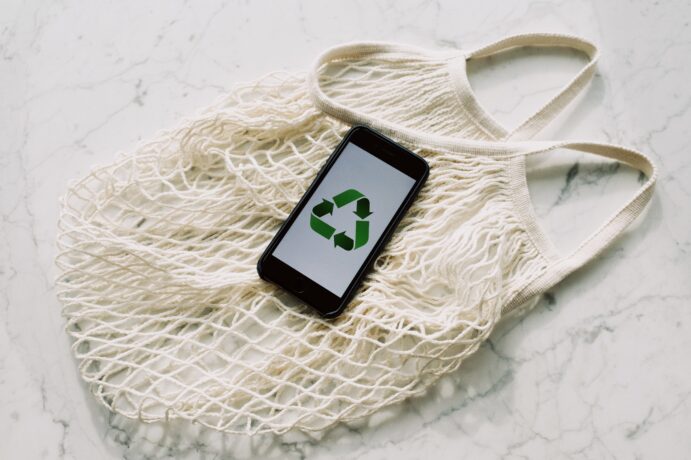 Eco-Friendly Products: Market Trends and Stats img - 1