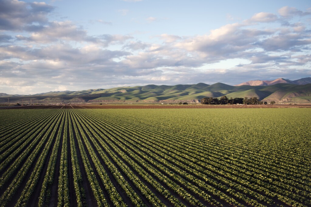 10 Facts on Sustainable Agriculture and Its Importance for Future Food Security img - 11