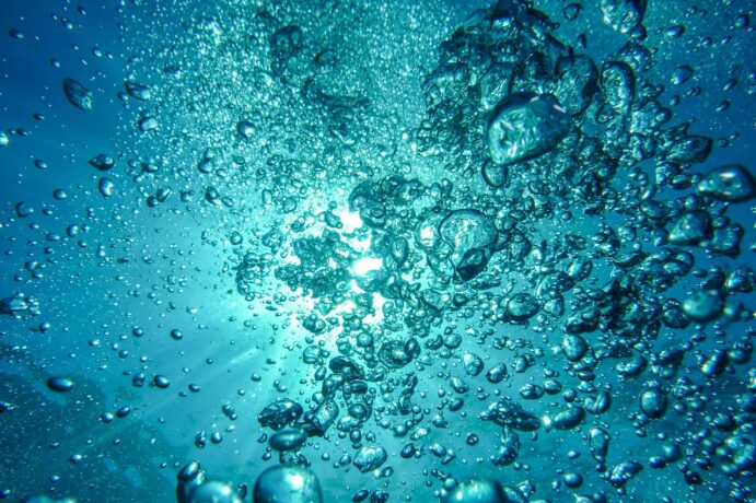 10 Alarming Statistics on Ocean Acidification and Its Impact img - 1