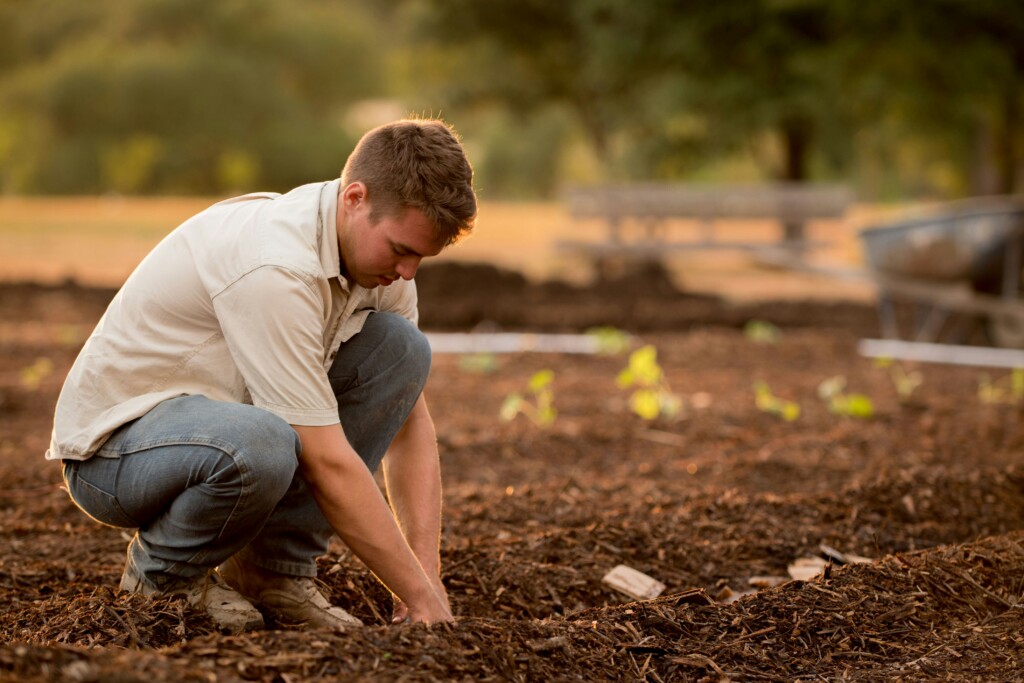 10 Facts on Sustainable Agriculture and Its Importance for Future Food Security img - 7