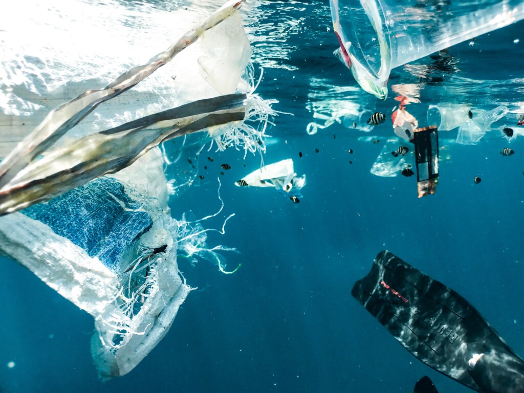 The Truth About Plastic Pollution and Steps Towards a Plastic-Free Lifestyle img - 3