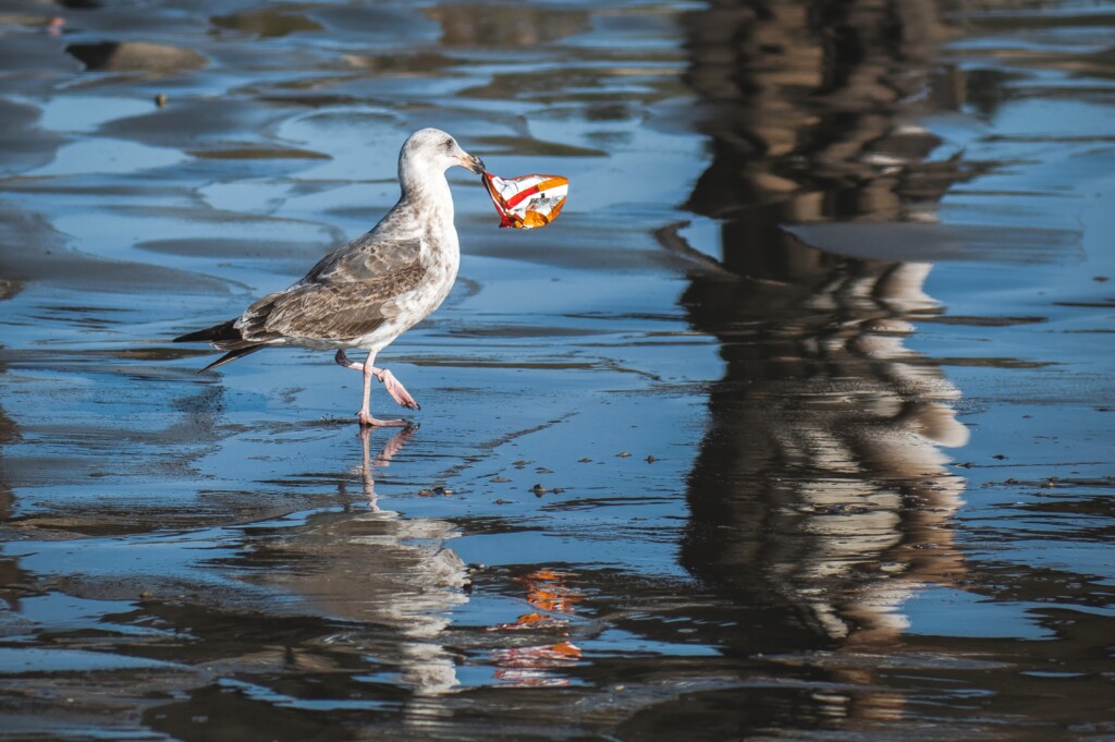 30 Shocking Statistics on Plastic Pollution - An Urgent Wake-Up Call for Global Action img - 4