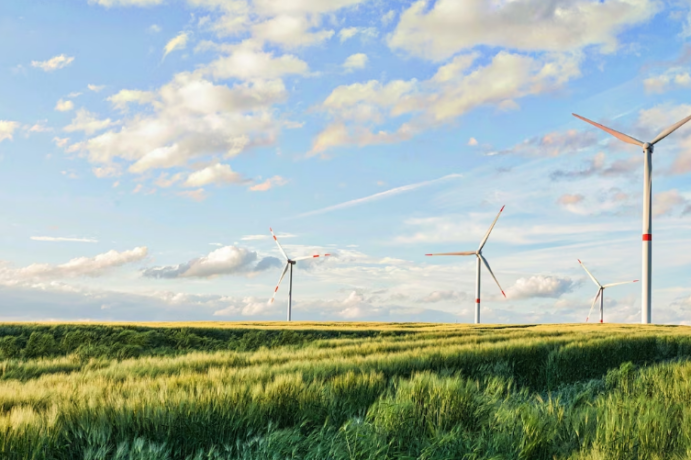 Debunking Common Sustainability Myths img - 1
