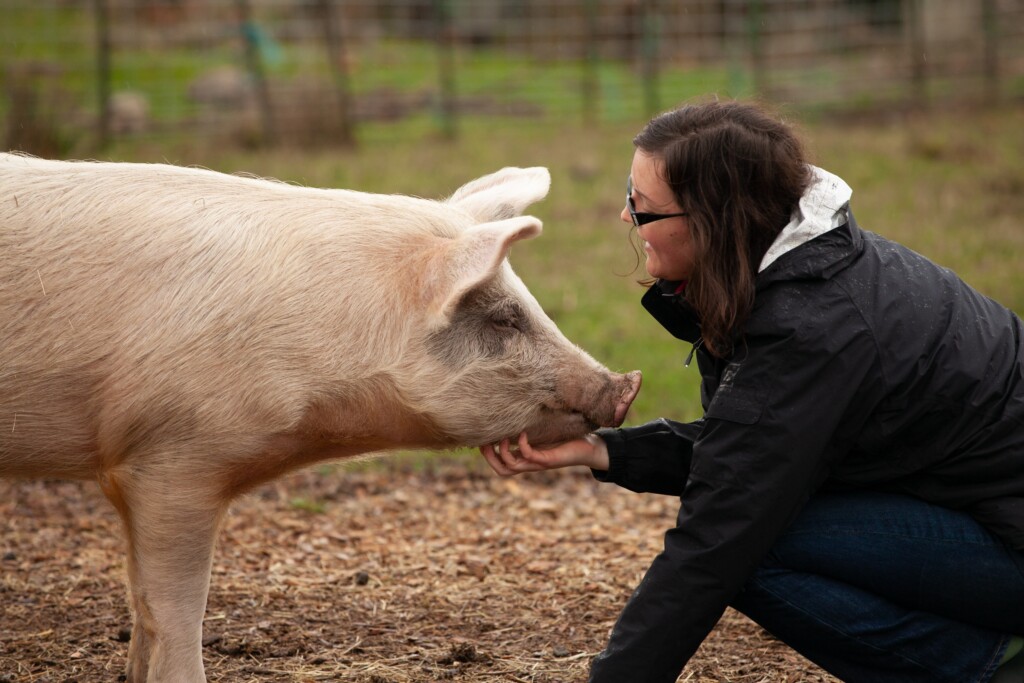 Climatarianism: How Sustainable Dietary Choices Can Help Save the Planet img - 6