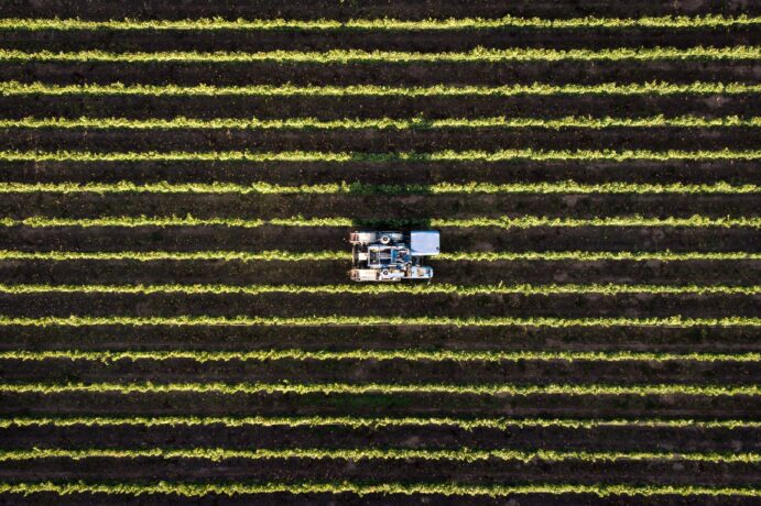 Modern Agriculture Countries: The Top 5 Leaders img - 1